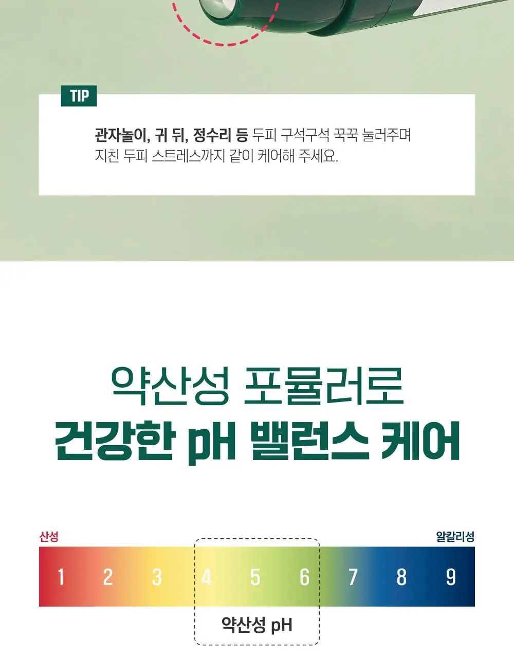 [두피영양] 라운드랩 소나무 진정 시카 두피 앰플 15ml 상세페이지 18